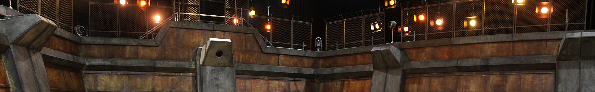 Link to CAPRICA Art Direction Page